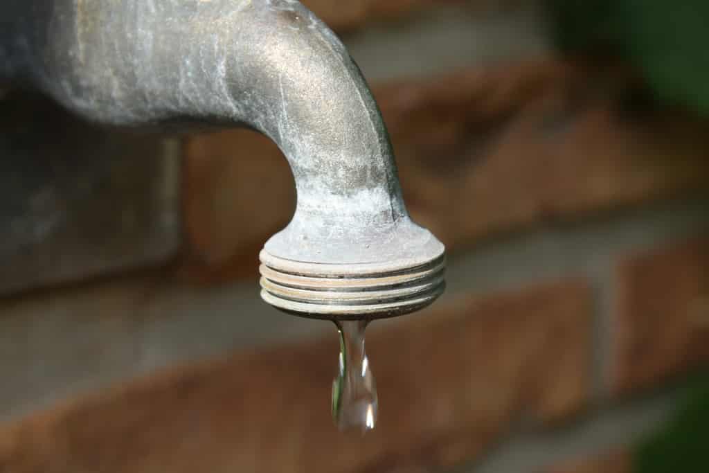 Small Leaks Can Add Up To Gallons of Water