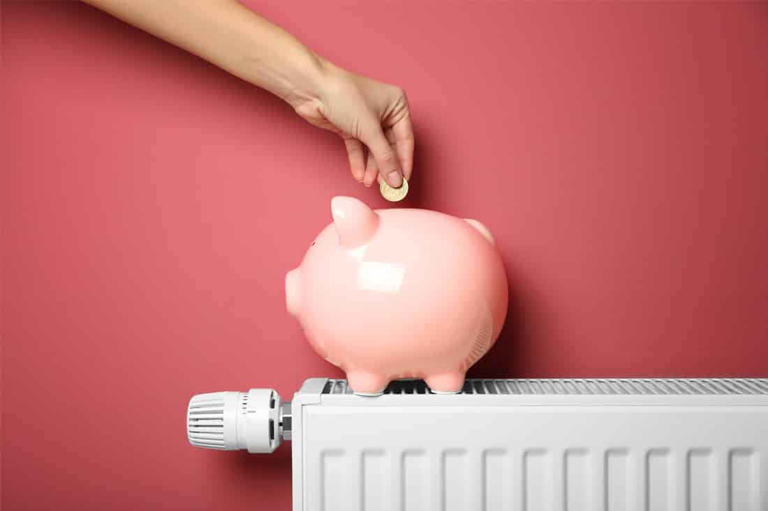 Seven Tips for Apartment Renters to Save Energy
