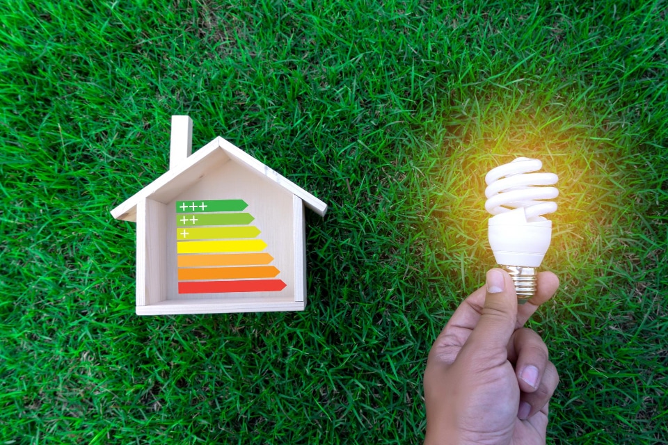 What is LIHEAP and CEAP Energy Assistance?